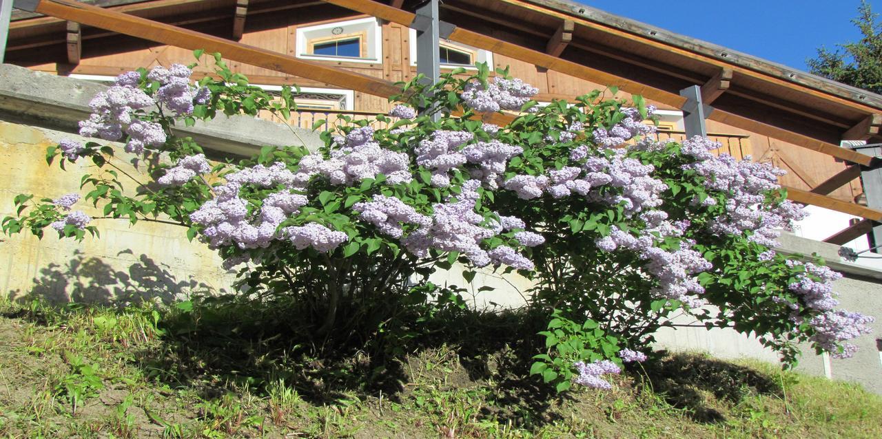 Hotel Duc De Rohan Livigno Zewnętrze zdjęcie